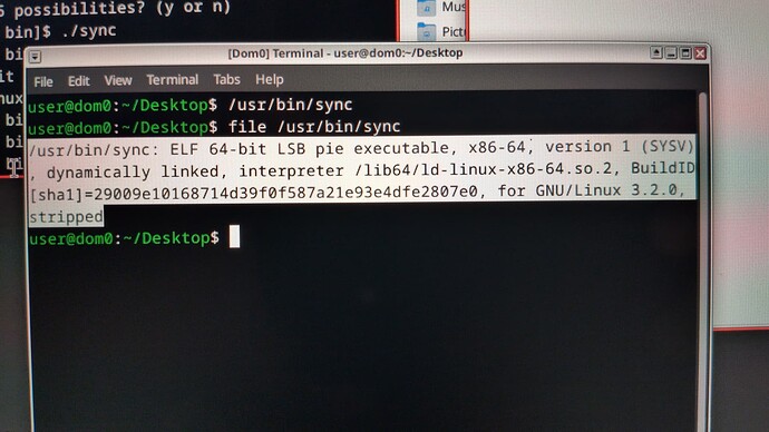 IMG_20260131_133543_515