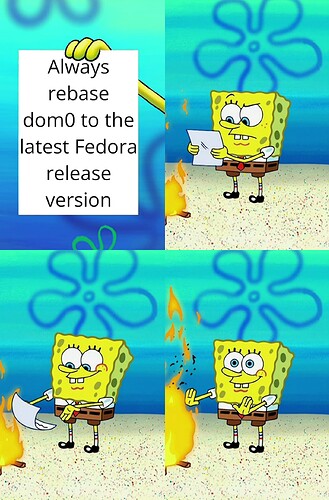 Qubes OS - SpongeBob Burning Paper