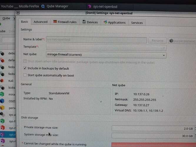 OpenBSD NetVM