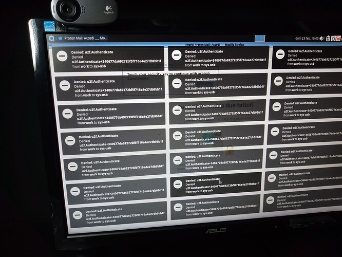 AppVM Work FIDO2 to Proton Account