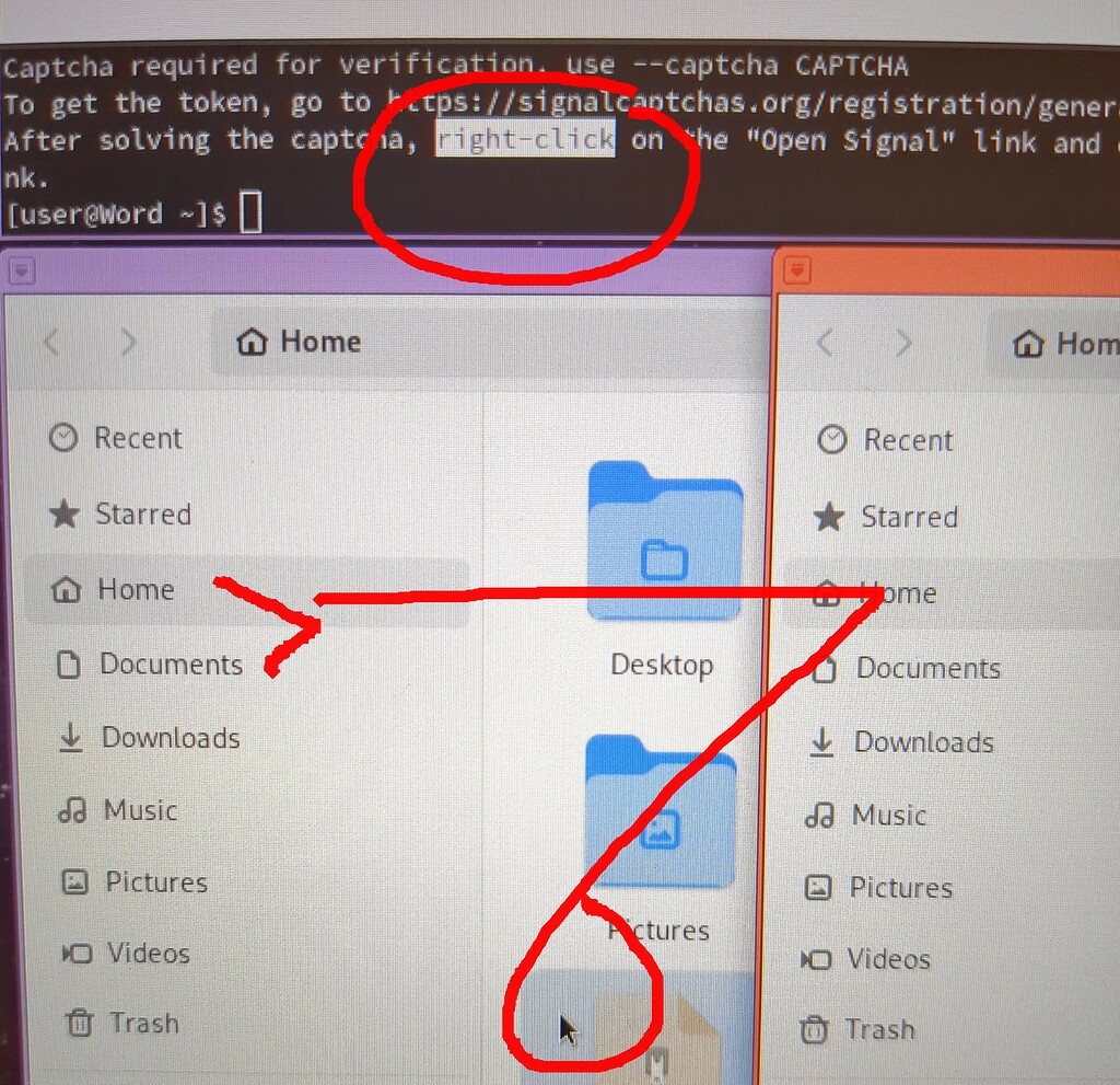 Qubes R4.2 How do I right click? Is there a way to move files back and